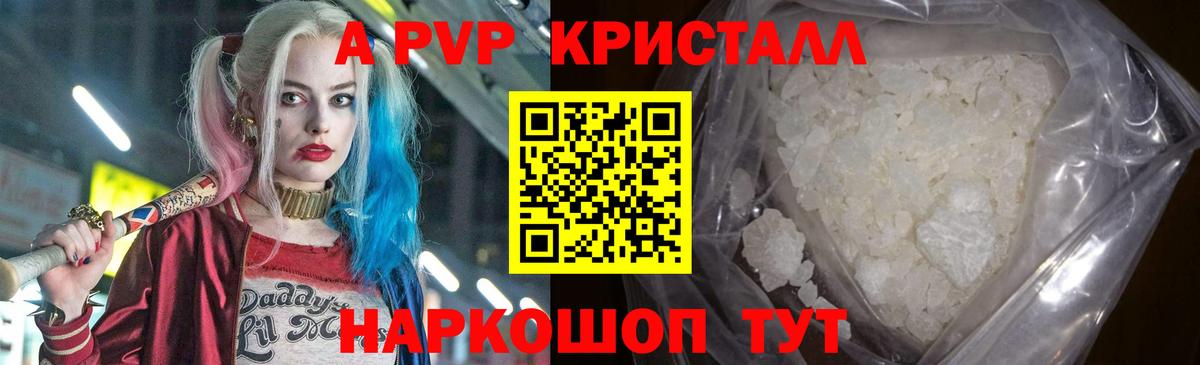 Альфа ПВП СК Орёл