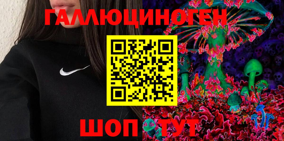 Галлюциногенные грибы Cubensis Орёл