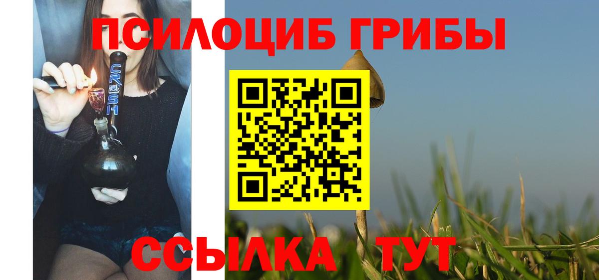 наркошоп  Галлюциногенные грибы прущие грибы  Вход с VPN  Галлюциногенные грибы Psilocybe  Орёл 