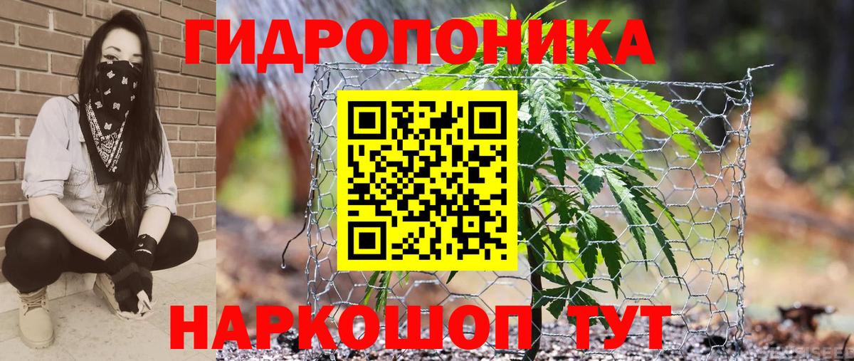 Марихуана план  Вход с VPN  Орёл  Марихуана конопля 